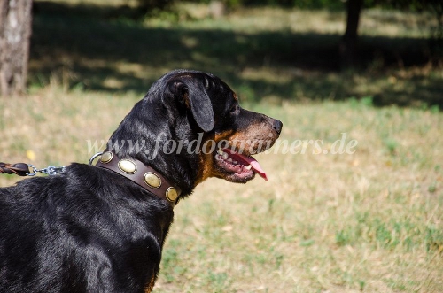 Rottweiler "Retro" Hundehalsband aus Leder