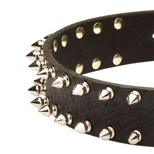 big leather spiked dog collar for GSD