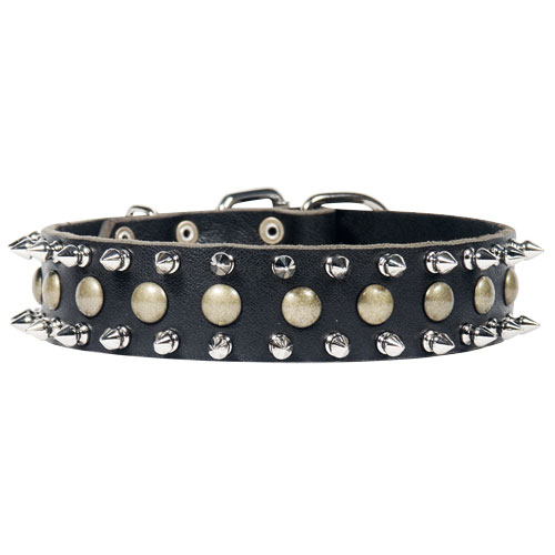 Dog Collar Leather with Spikes and Studs
