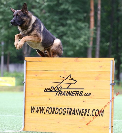 Hundesport Agility Hürde 1 m, Springhürde aus Holz