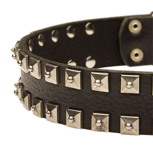 best Leather dog collar with studs