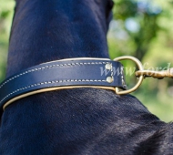 collar with nappa leather rottweiler