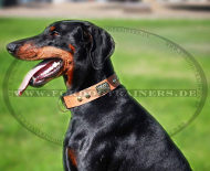 Hundehalsband Leder für Dobermann FDT Artisan, hellbraun Hundehalsband Leder für Dobermann FDT Artisan, hellbraun