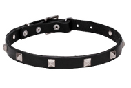 Hundehalsband Leder eng mit Design-Dekor, elegant