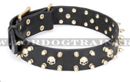 Hundehalsband Leder "Rock Star" FDT Artisan mit Messing-Dekor