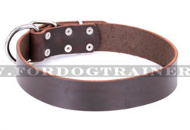 Hundehalsband Leder breit in klassischem Design, modisch Hundehalsband Leder breit in klassischem Design, modisch