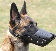 Leder Alltagsbeisskorb für Malinois