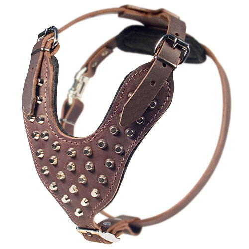 Studded leather dog harness with pyramids