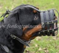 royal maulkorb nappa gepolstert rottweiler