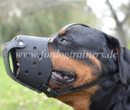 Rottweiler Ledergepolsterter Alltags-Hundemaulkorb