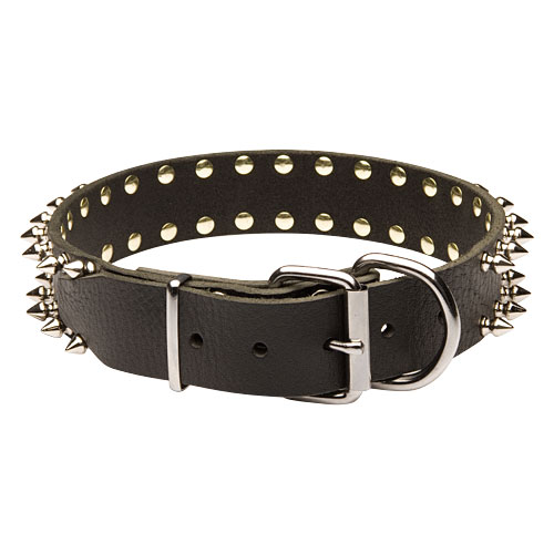 big leather spiked dog collar for GSD