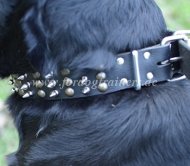 leather collar rivets spikes for rottweiler