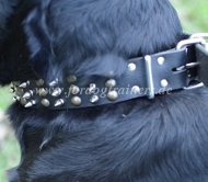 leder halsband nieten spikes für rottweiler